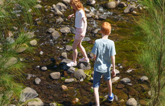 Lamington National Park, O’Reilly’s Rainforest und Canungra Valley Vineyard – Tagestour - Foto 11