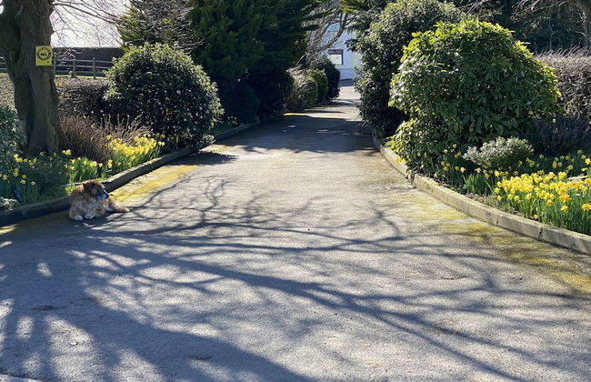 Rose Cottage Captivating 1-bed Cottage in Bangor - Foto 20