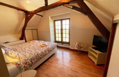 Gîte viticole tout inclus, jardin 3000m², vélos offerts, proche Saumur-Chinon-Langeais - FR-1-381-606 - Foto 33