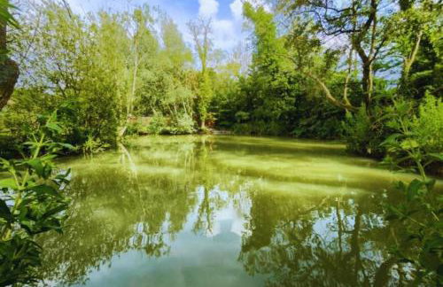 Bears House - Foto 26