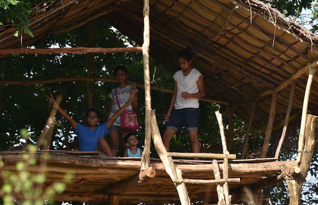 wilpattu Tree House - Foto 23