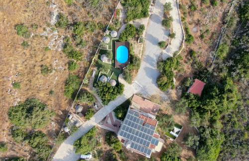 Ktima Nikolaos - Foto 61