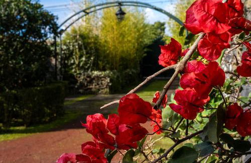 Casa Villa Cottage - Photo 24