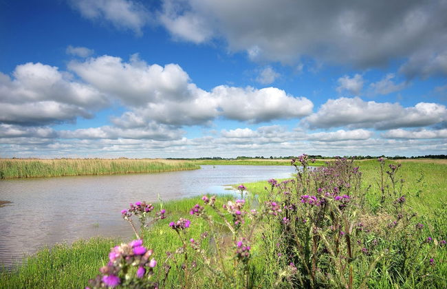 Traditional Villa in Tzummarum near Sea - Foto 29