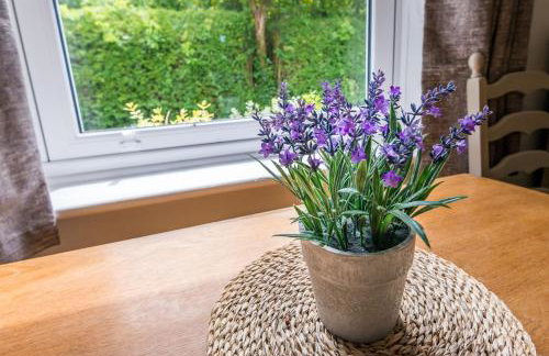 Dog friendly cottage on the edge of the Norfolk Broads - Foto 28