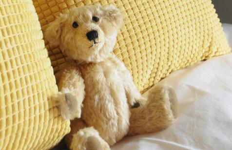 Mulberry cottage - Photo 24