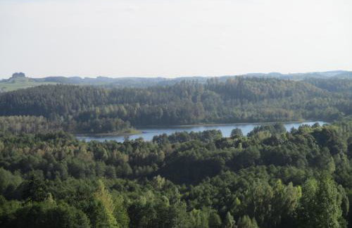 Dworek Telimena - Foto 24