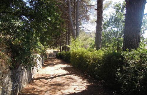 Agriturismo Cuca - Foto 33