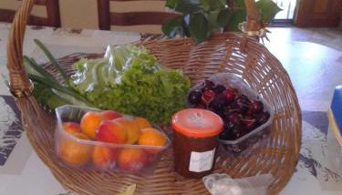 Gite Du Tourdre - Photo 4