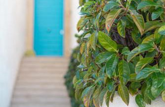 Piccolo Principe Appartments-Superior Class & Pool Residence - Foto 41