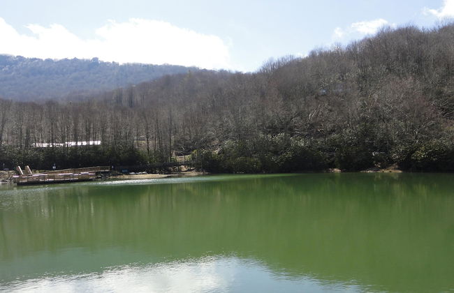 VCI - Elderberry Overlook - Foto 26