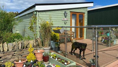 The Stable - NC500 - Foto 2