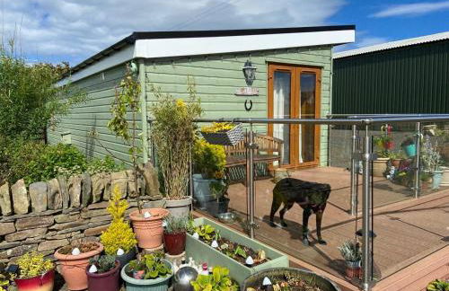 The Stable - NC500 - Photo 2