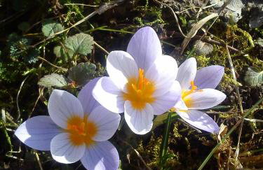 Mazurski Staw - Foto 61