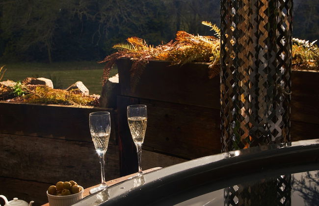 Swallows End in Lower Ashton - Foto 20