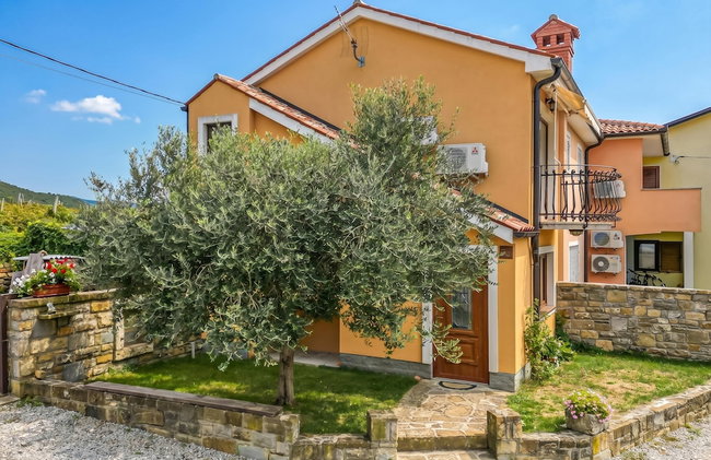 House In The Vineyards - Photo 25