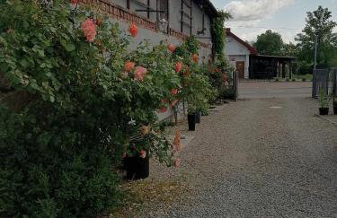Gospodarstwo agroturystyczne - Foto 77
