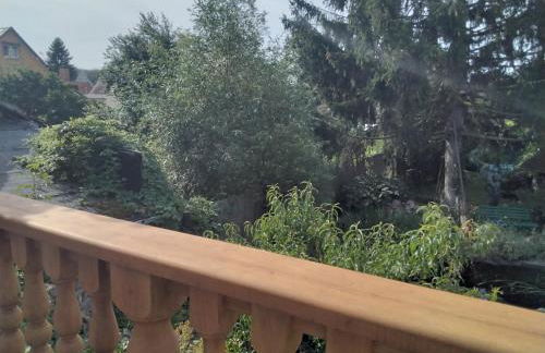 Pusteblume - Foto 13