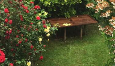 wohnliches , behagliches Zimmer mit Balkon und wifi - Foto 5, Garden