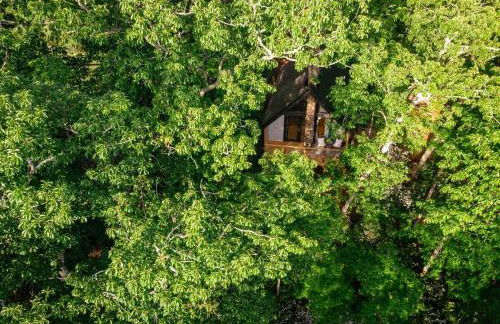 Private Modern Treehouse Retreat in the Forest - Foto 22