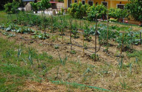 Villa Grecia - Foto 60