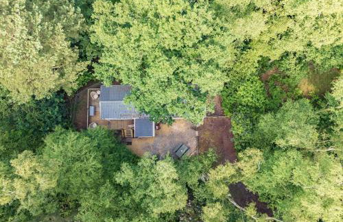 Tree Tops - Norfolk Cottage Agency - Photo 20