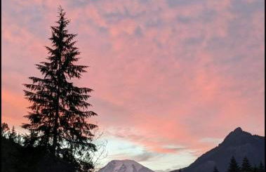 Bugling Elk Bungalow - Foto 27