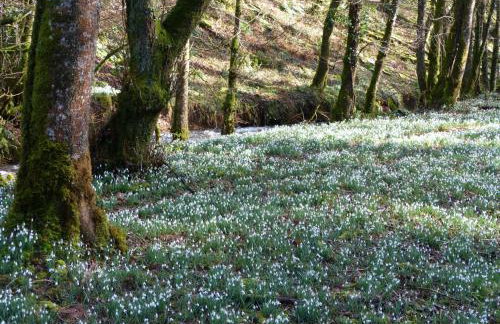 East Harwood Farm Cottage Timberscombe - Foto 27