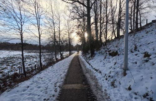 Orange Squirrel Lodge - Foto 31