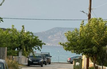 Angel Residence - Foto 41