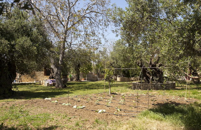 Horizonte Cretan Cottage - Foto 28