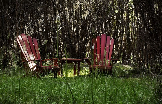 Night Sky Cottage - Foto 23