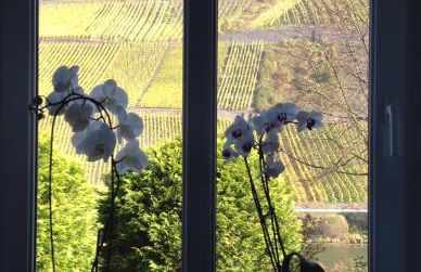 Haus Nummer 1, Moselblick - Foto 28