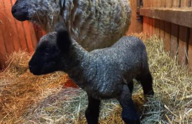 Ferienwohnung am Schneeberg - Foto 59