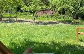 Królewska Sielanka - Foto 10