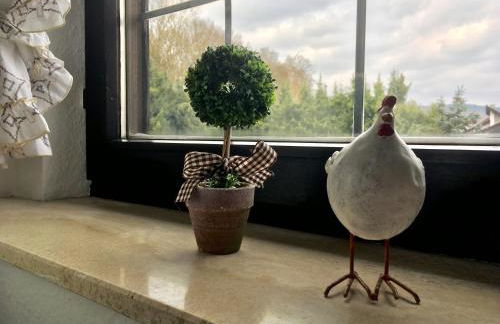 Ferienwohnung Will - Photo 12