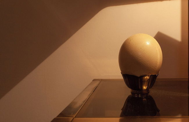 BnButler - Osoppo 19 - Foto 11