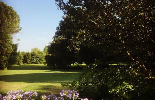 Le Mas des Figuiers - Foto 13