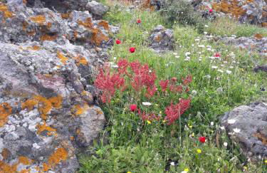 Seaview Villa - Photo 53