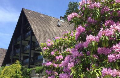 Panorama Point - Foto 1