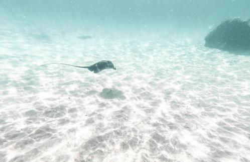 Preciosa Casa de diseño Valle del Este Golf Resort ideal para familias - Foto 48