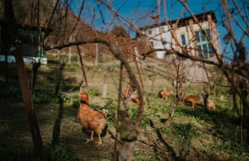Polisena L'Altro Agriturismo Veg - Foto 41