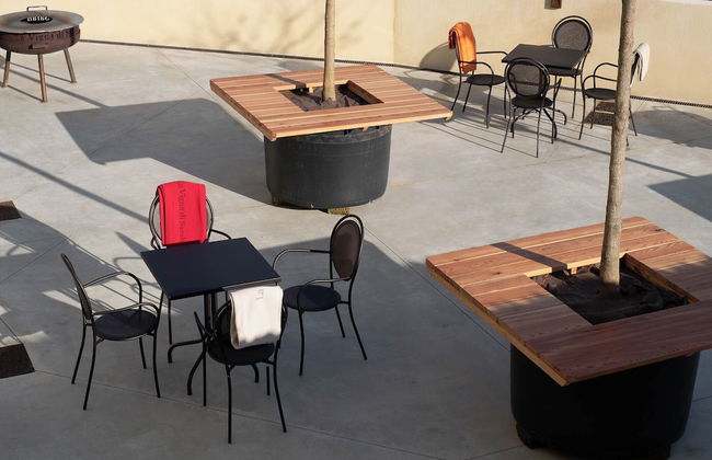 LA VIGNA DI SARAH - Photo 50