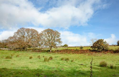 Little Meadow - Foto 24