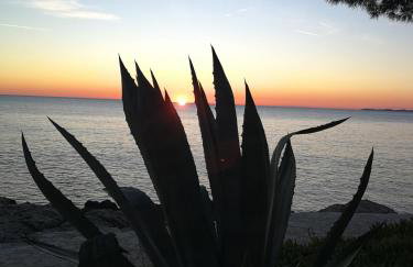 HOUSE Kod dide - Foto 31