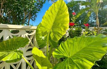 Casita del Toro - Rooftop Terrace & Sea View - Photo 28