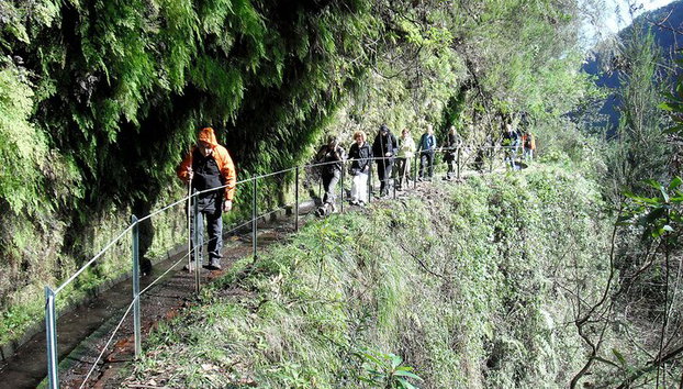 Levada do Rei - Levada do Rei - Foto 2