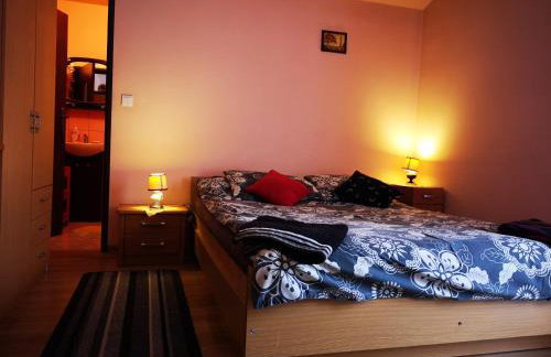 Agroturystyka w Dolinie Narwi - Photo 53