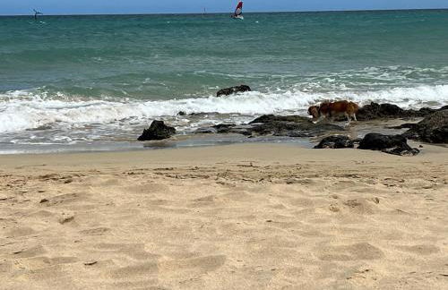 Ocean Dream Apartment - Foto 8