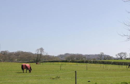 The Attic at Redmond Bottom - Photo 26